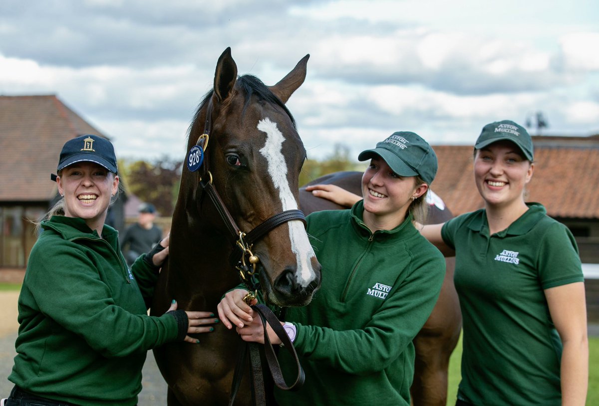 We are incredibly happy for our Book 2 Advertise filly out of Swing Out Sister selling for 200,000gns to <a href="/JohnKilbride/">John Kilbride</a> &amp; Jack Channon. Congratulation &amp; best of luck with her. We look forward to following her career. 

Homebred &amp; prepped on <a href="/BaileysFeeds/">Baileys Horse Feeds</a>