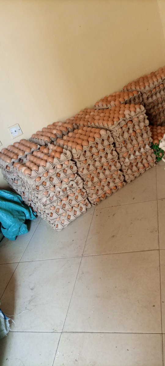 Nishey's tweet photo. @mwendefrey Eggs available at wholesale price of 360 and retail price of 380 , located in githurai 45 high view apartments near railway station https://t.co/dl1wDUwJKX