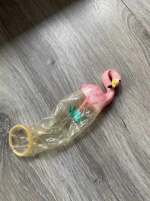 just filmed a fun video lol https://t.co/eCGgPr9c5b