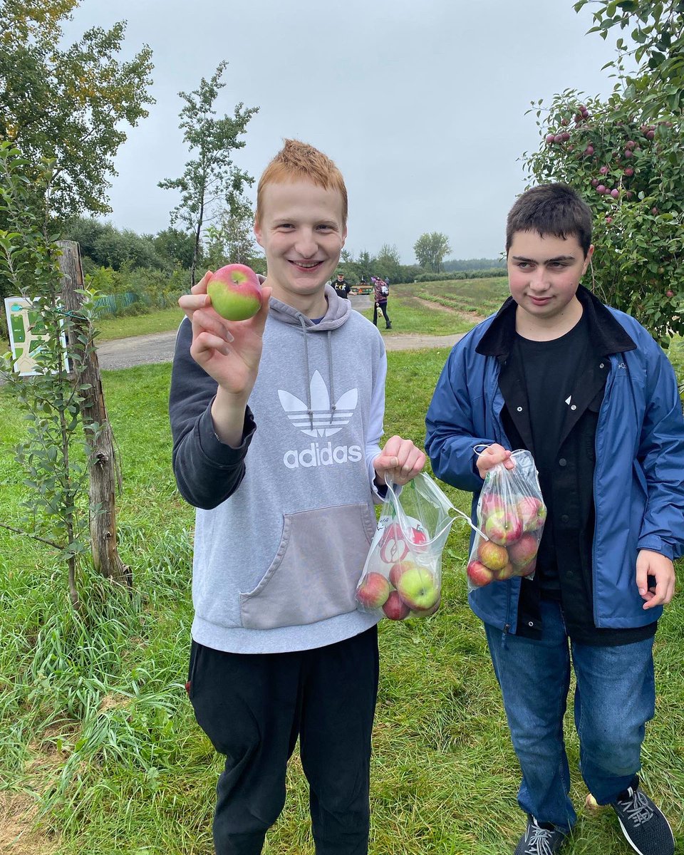 Cferhrhs's tweet photo. We went all apple picking. There were some animals and pumpkins involved as well. https://t.co/eTeyFcrEVX