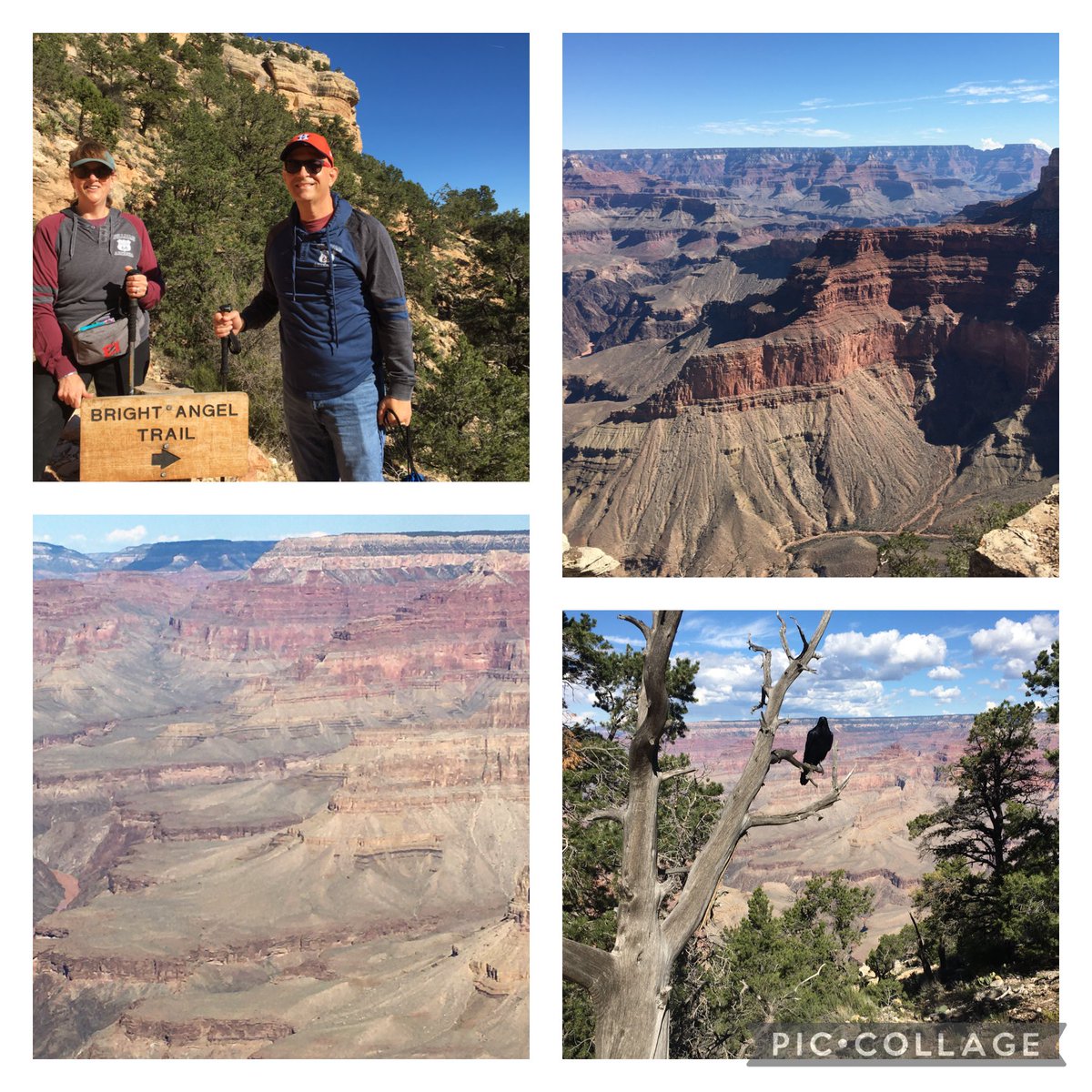 Hiked the Grand Canyon!!!  Great Fall Break adventure for this👩‍🔬science geek♥️ ⁦<a href="/KleinISDscience/">Klein ISD Science</a>⁩ ⁦<a href="/EppsIslandKISD/">Epps Island</a>⁩