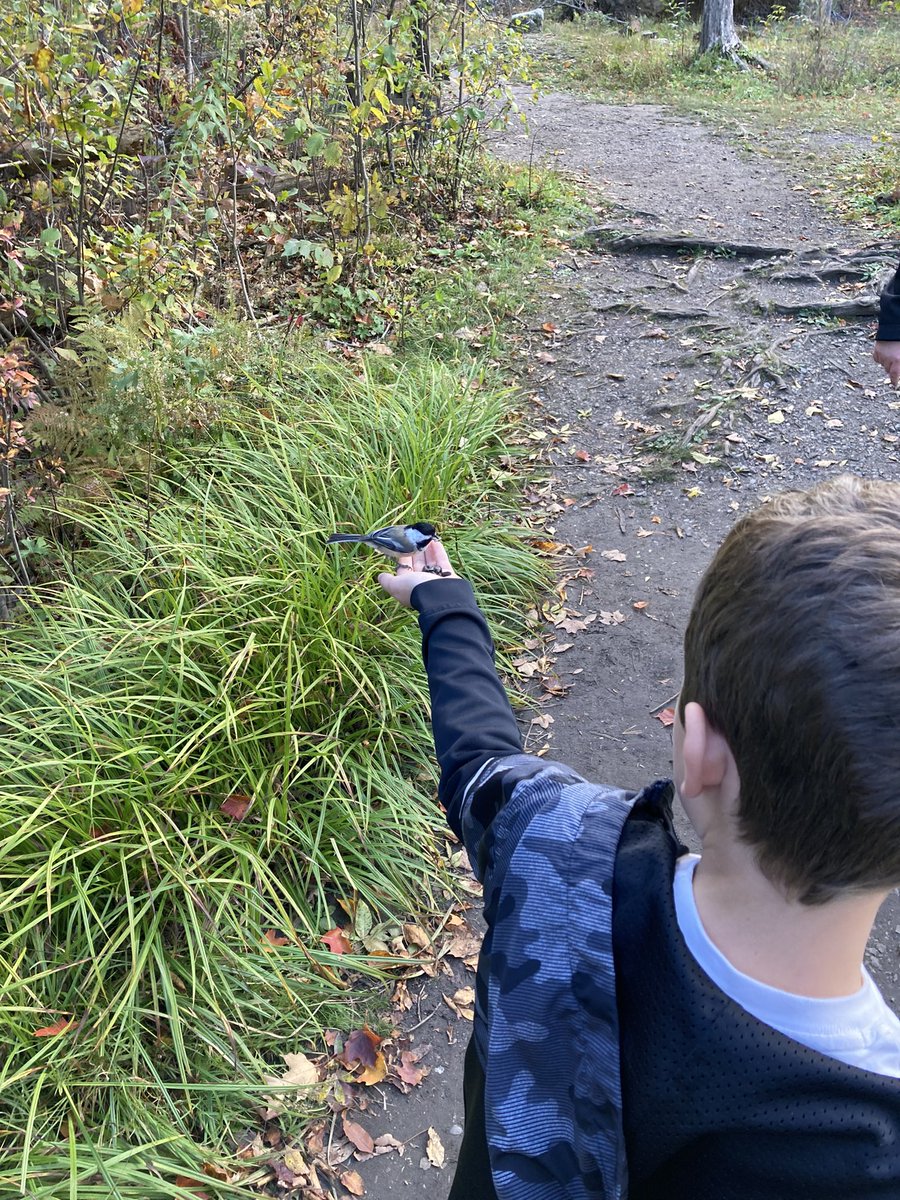 A couple photos from what was a wonderful thanksgiving with my beautiful kids. Very thankful to have them in my life. Every weekend is a new journey looking through their eyes.