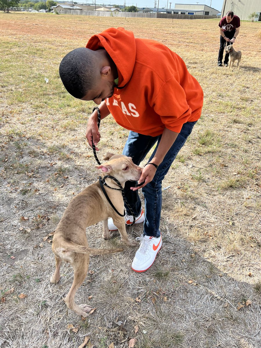 NISD_ReddixMISC's tweet photo. Today our Student Trainees from our Animals work class at @NISDReddix were working hard with our four legged friends over at Yaya’s Bow Wow House. #dogs #sanantoniotx #NISDignite https://t.co/fmcysEdspm