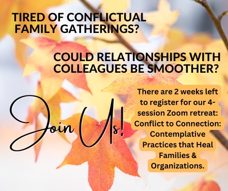 Are you ready to learn more effective ways of engaging with others?
Sign up for the Zoom retreat  "From Conflict to Connection" Contemplative Practices that Heal Families and Organizations.
For more information and to register go to serraretreat.com
