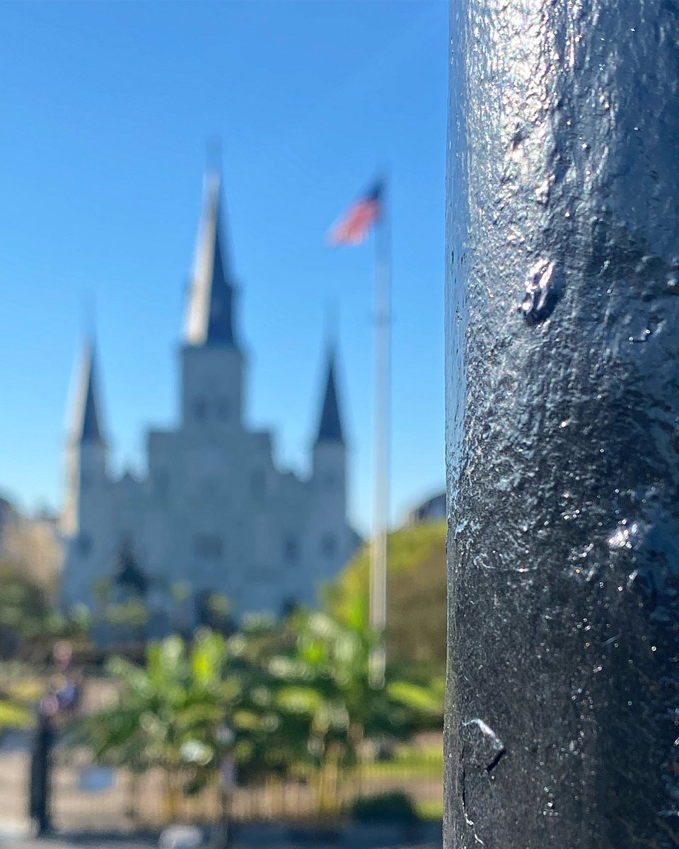 KMirza's tweet photo. There’s a wrap! Thank you #CAP22 for a great time in #NewOrleans
An incredible time connecting and reconnecting with the #pathfam - always a treat to learn and teach #pathology!
Shout out to my #pathology family! You know who you are!
See y’all in Chicago for #CAP23 https://t.co/RIn8MherXX