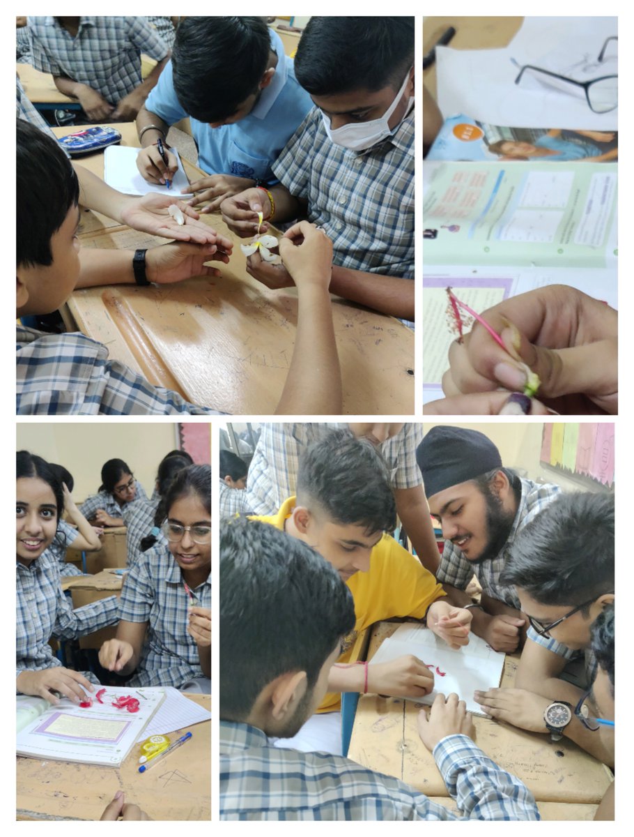 ChhayaDhingra's tweet photo. Class X students of #ahlconintl having hands-on experience in flower dissection 🌺 to study about its morphology and to better understand the reproduction in flowering plants. 

#experientiallearning in classroom 
@y_sanjay @pntduggal @ChopraNavleen @ashokkp https://t.co/yh4umn8IeX