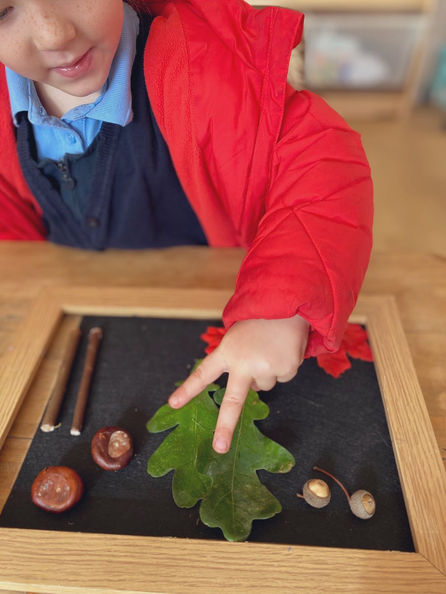 Monnow Primary School tweet media