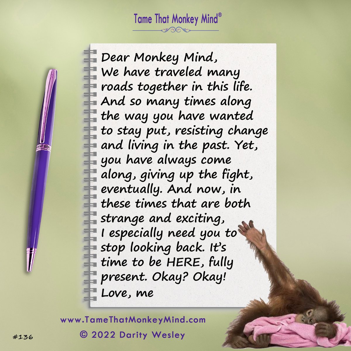 DarityWesley's tweet photo. Here’s the latest post from my  Tame That Monkey Mind website https://t.co/6dwta0eTnh. What’s your monkey mind chattering about today? 🐵💖 https://t.co/uDUF2CpT94