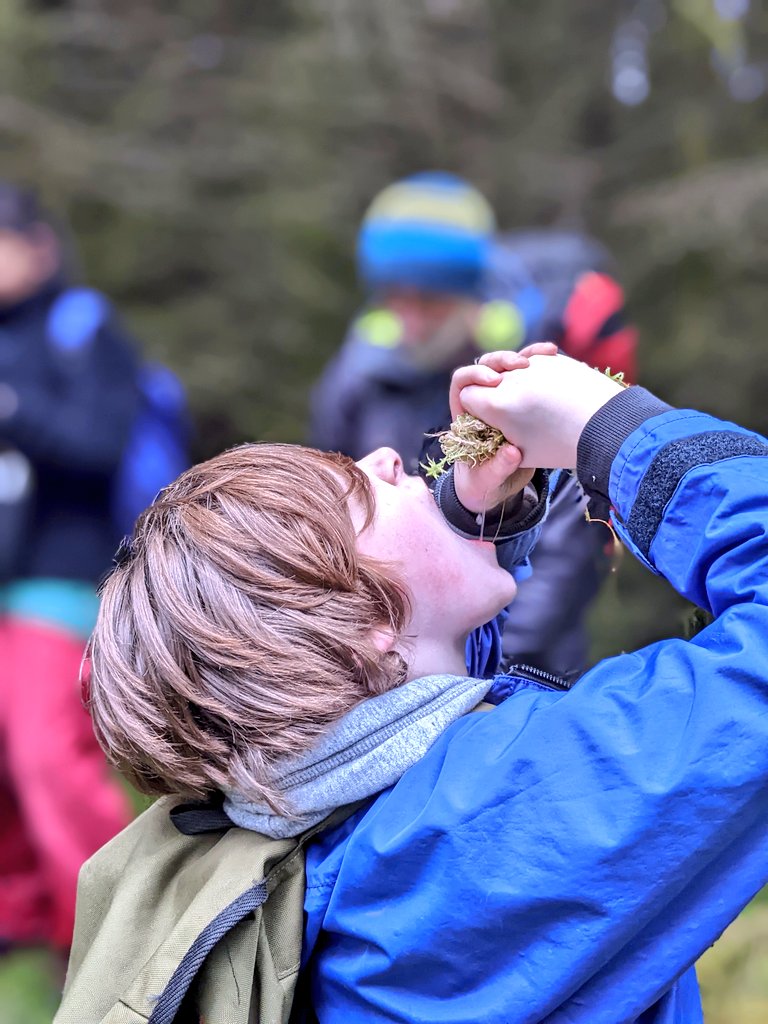 BlairvadachAndy's tweet photo. Day two for @KelvindalePS here @BlairvadachOEC and we teamed up with @BlairvadachRob for a joint ascent of Tom na h Airidh (Knoll of the Shieling)
354 Meters of #topbants wildlife, and some fabulous views over the #clydeestuary 🐾🦋🙌
A massive well done team!💪
#KelvindaleBV22 https://t.co/wJvYPwXgWu