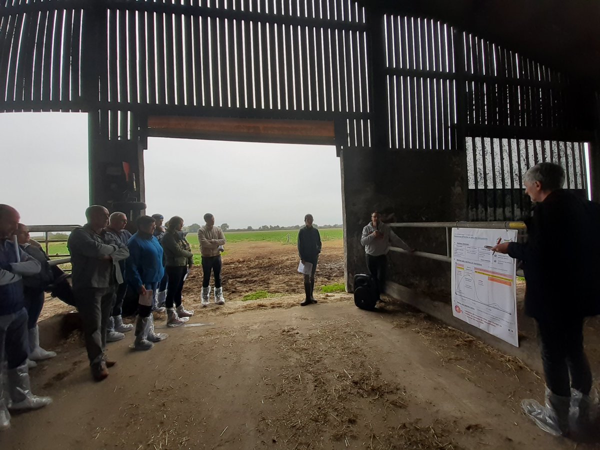 CastellanIdele's tweet photo. #JTcapvert avec des RDV en fermes pour commencer. Au programme : conduite économe, valorisation de l'herbe, adaptation au changement climatique... et des éleveurs de toute la région au RDV !
@InstitutElevage @JeremieJost @cniel @ChambAgri23 https://t.co/tnFFuaGqBK