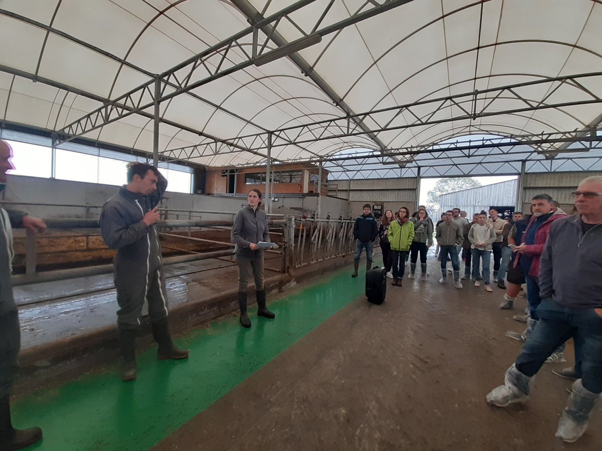 CastellanIdele's tweet photo. #JTcapvert avec des RDV en fermes pour commencer. Au programme : conduite économe, valorisation de l'herbe, adaptation au changement climatique... et des éleveurs de toute la région au RDV !
@InstitutElevage @JeremieJost @cniel @ChambAgri23 https://t.co/tnFFuaGqBK