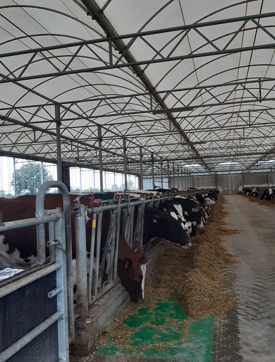 CastellanIdele's tweet photo. #JTcapvert avec des RDV en fermes pour commencer. Au programme : conduite économe, valorisation de l'herbe, adaptation au changement climatique... et des éleveurs de toute la région au RDV !
@InstitutElevage @JeremieJost @cniel @ChambAgri23 https://t.co/tnFFuaGqBK