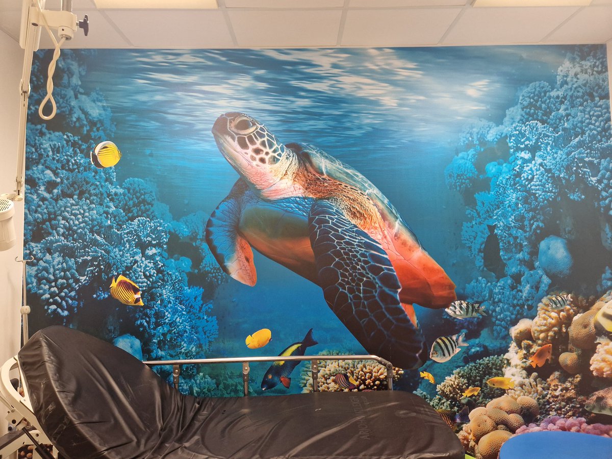 Our lovely wall murals now complete <a href="/CED_BHRUT/">BHRUT Children’s ED 💙</a>. Thank you <a href="/PlayinNHS/">ⓅⓁⒶⓎ ⓈⓅⒺⒸⒾⒶⓁⒾⓈⓉ 🌈💙</a> for all your assistance.