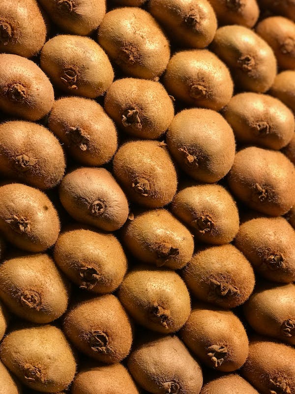 ElgndyStore's tweet photo. Studies show that eating kiwis, specifically, could help reduce heart disease risk factors, including high blood pressure.

.
#Independent
#Smino
#Madrid
#Neymar
#Hannity
#Notifications
#Mbappe
#chainsawman 
#Democrat
#Tulsi
#NationalComingOutDay
#PortfolioDay
#Genie
#Vance
#Kang https://t.co/q4NEqSmld8