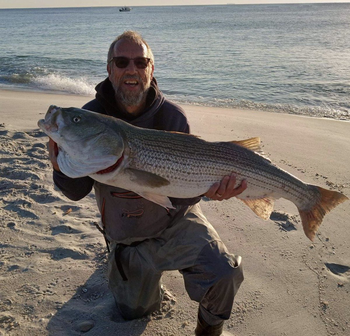 DenoSmith's tweet photo. Stalked giant bass for the last 3 day. I refused to use the illegal tactics the most used to catch these monsters. #OutcastLures #stripers #stripedbass #vanstaalreels #njfishing #CenturyRods #powerprobraid between 48 and 50 inches low to mid 40 lb range https://t.co/rV9VxrIYQn