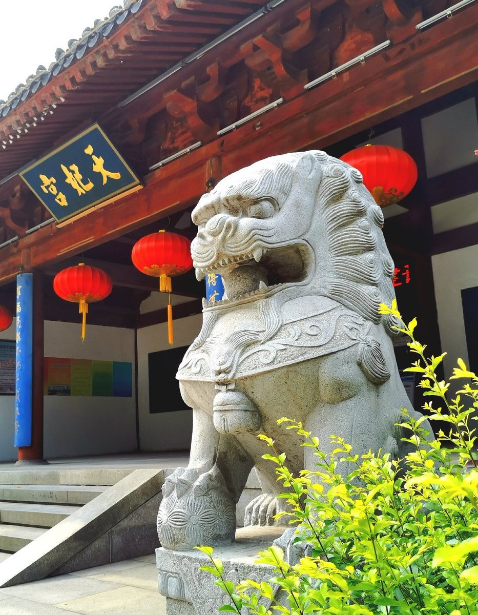 Explore Jiangsu tweet media