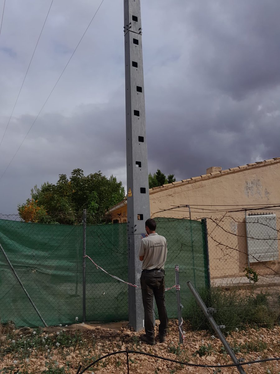 AAMMRequena's tweet photo. #AgentesMedioambientales realizamos inspección de determinados postes del tendido eléctrico que presentan riesgo de atrapamiento de fauna en su interior. 

Se trata de fustes huecos con agujeros a media y gran altura, pero cerrados por la parte inferior. https://t.co/wULzK5ojyp