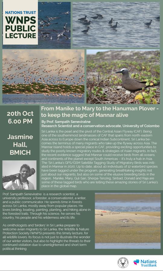 DoZEnS_uoc's tweet photo. WNPS monthly lecture 
"From Manike to Mary to the Hanuman Plover - to keep the magic of Mannar alive" By Prof. Sampath Seneviratne
6 pm, 20th October 2022, Jasmine Hall, BMICH
All are invited https://t.co/Hi7XMkBZiV