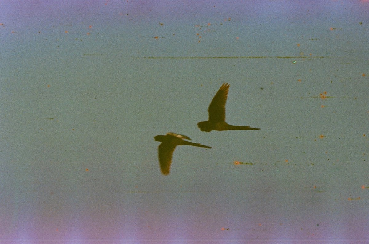 Today's collected awesome gems ❤️🫂
<a href="/dreamsresurrect/">𝕯𝖗𝖊𝖆𝖒𝖊𝖗✨🍉🌈</a>
@1AZR011 
<a href="/imagen_cristal/">Clarą</a>
<a href="/GabrielNebular/">Gabriel Nebular</a>