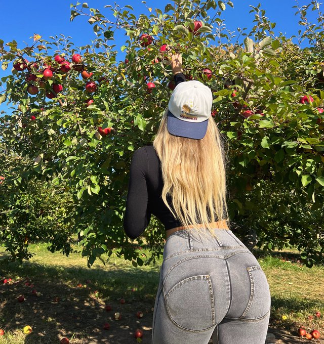 Which apple do you want? ??? https://t.co/z6Xys1cWW6