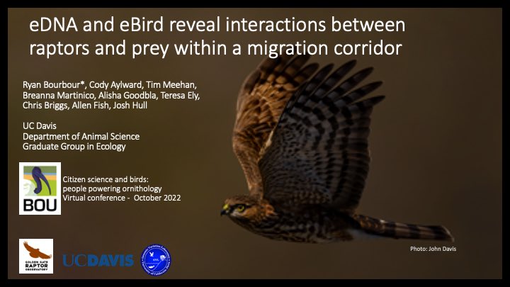 #BOUasm22 #SESH6 In this study, we present a research approach that uses eDNA 🧬 collected at raptor migration monitoring stations and eBird 🐦 #CitizenScience data to reveal songbird & Sharp-shinned Hawk (Accipiter striatus) interactions during fall migration. 1/6