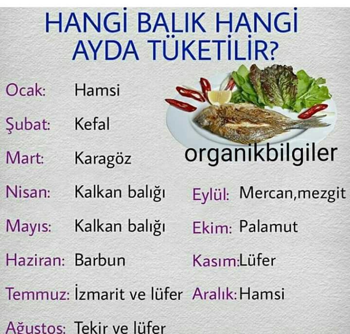Barbun tercihimdir ..😅