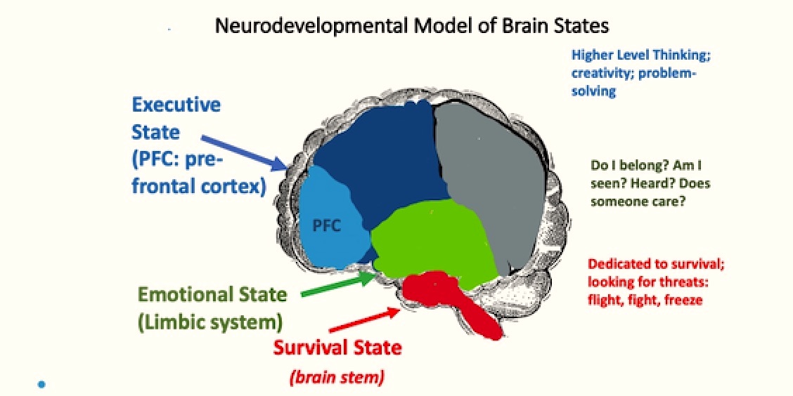NEW: Adolescent Brains Need Compassionate Discipline. #mschat #SEL #educoach <a href="/AMLE/">AMLE</a> <a href="/ASCD/">ASCD</a> #G2Great

Showing compassion &amp; managing our behavior can help our students recognize their own emotions &amp; regulate themselves, writes SEL consultant Marilee Sprenger.

middleweb.com/47918/compassi…