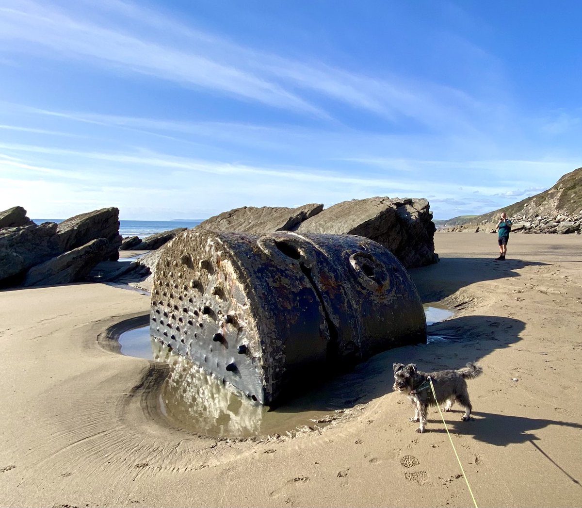 Osc_Schnauzer14's tweet image. 🤔 Any idea what this is? 

#MysteriousObject #Beach #Cornwall #SchnauzerGang #dogsoftwitter