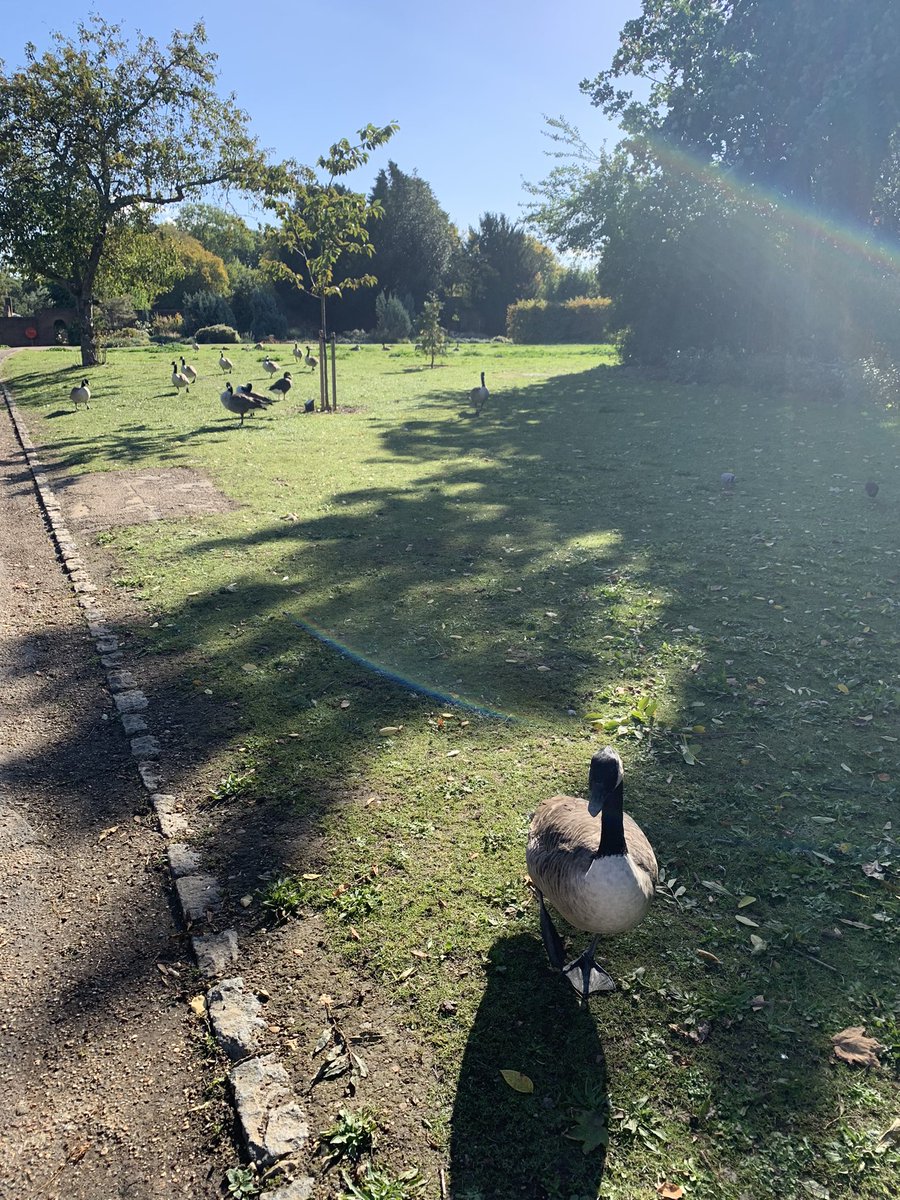 GardenersCottageCafe tweet media