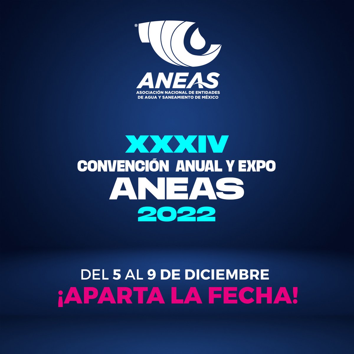 🌊 ¿Listos para la Convención Anual de la <a href="/ANEASdeMexico/">ANEAS de México</a>? 👏
📅 Del 5 al 9 de diciembre... ¡Reserva la fecha!
