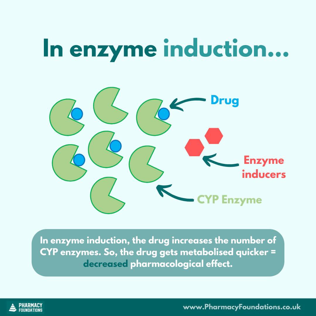 PharmacyFoundts's tweet photo. Swipe ↔️ to learn about enzyme induction & common examples of INDUCERS ✅
Visit our Instagram page @ PharmacyFoundations to cover similar learning points about enzyme INHIBITORS 👀
#TuesdayLearning #Metabolism #Pharmacology https://t.co/OZoY0PeCVN