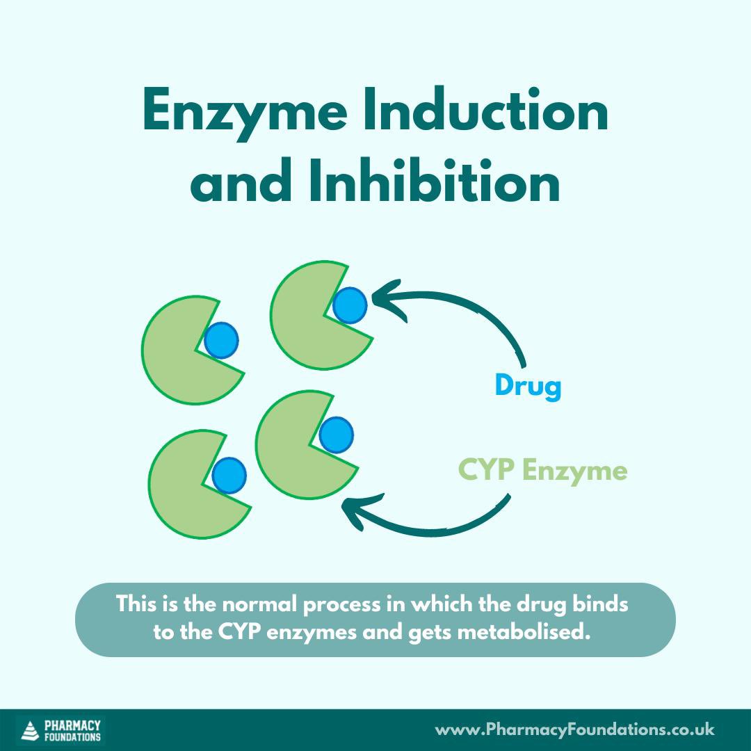 PharmacyFoundts's tweet photo. Swipe ↔️ to learn about enzyme induction & common examples of INDUCERS ✅
Visit our Instagram page @ PharmacyFoundations to cover similar learning points about enzyme INHIBITORS 👀
#TuesdayLearning #Metabolism #Pharmacology https://t.co/OZoY0PeCVN