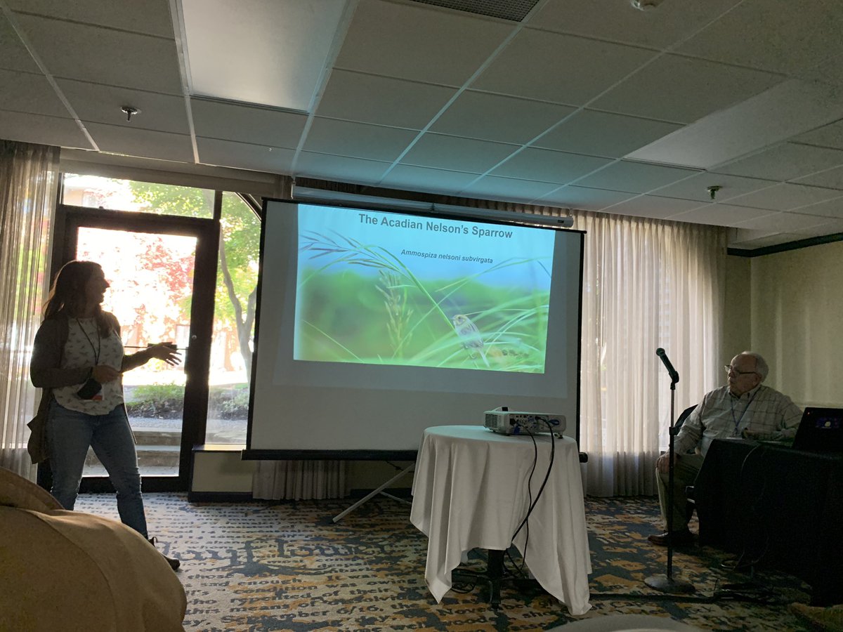 MariaMacIvor's tweet photo. Great start to the #AFO100 conference for the @NoceraUNB lab! @RovingOsprey @KiirstiO https://t.co/XBanC3FUJH