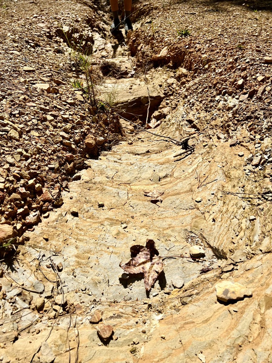 emilynbristow's tweet photo. @nkkeene “Send this to Mrs. Williams, mom! We’re learning about canyons!” Thankful for you and how you’re inspiring my boy to think outside of the classroom. ❤️🙌  #teachers @PPETigers https://t.co/nYknKZD3Ex