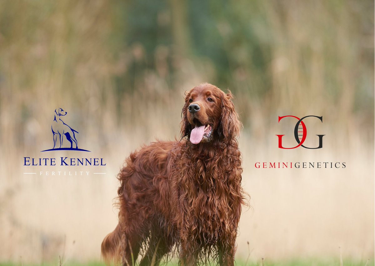 Rare Breed Dog Day!

Make sure to keep up to date with the Rare Breeds Dog Day campaign! 

Resister your interest now! geminigenetics.com/rare-breeds-do…