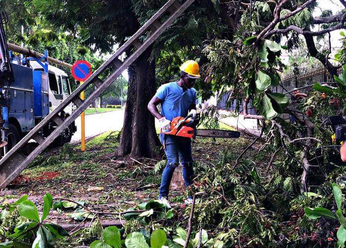 El verdadero revolucionario da su ayuda solidaria en cualquier parte del mundo.
#CubaViveEnSuHistoria     #CubaPorLaVida #FuerzaCuba #Cuba #CubaEsAmor #TodosJuntos #MejorSinBloqueo <a href="/cubacooperaven/">Brigada Médica Cubana en Venezuela</a>  @CubCooperaVeGua
<a href="/PantojaYudenia/">Yudenia Ramirez Pantoja</a>