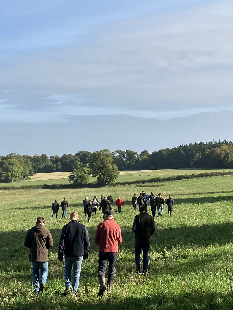 A lovely day for a walk around Boycefield and some good discussion with Duchy staff and farmers. Always a great exercise to exchange knowledge with others.