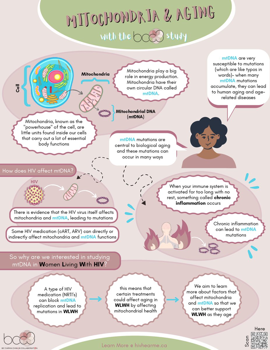 HIV_HEAR_me's tweet photo. We are excited to share the next infographic in our #BCC3Science series!

Check out this infographic on Mitochondria and why we study them in our women's #healthyaging research! If you have any questions, our amazing PhD student 
@t_povshedna will be more than happy to answer https://t.co/5dTDQxuHlt