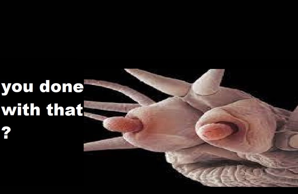 eggbeei's tweet image. my new favorite thing is making #reaction photos of the #pompeii #worm