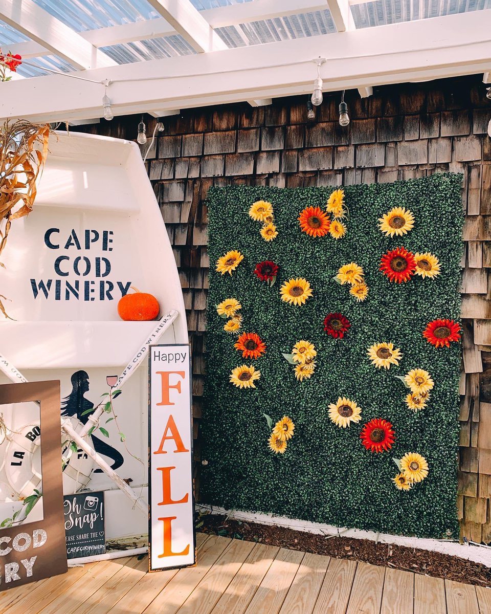 capeologypics's tweet image. Don’t miss Cape Cod Winery’s Fall Fest happening THIS Saturday, 10/15! 🍂🍷

Need a place to stay? Check out @seatucket in East Falmouth. ☀️ Their 3 bedroom cottage (sleeps up to 6) and is located just a four minute drive from @capecodwinery! ✨ Book here: weneedavacation.com/Cape-Cod/Falmo…