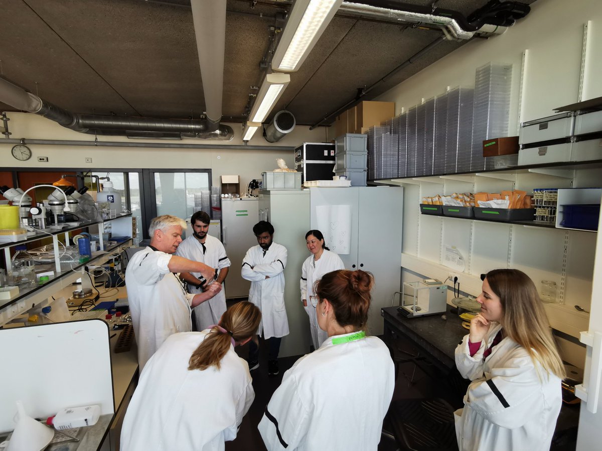 plantscifyi's tweet image. Today we had Dr. Renake Teixeira sharing her interesting work on seed quality trait regulation, lectures, demontrations &amp;amp; practicals @WURplant on seed priming, imaging &amp;amp; aging, a tour @CGN_Wageningen &amp;amp;  @GeneSprout sharing important information on NGTs! #masterclass #seedtech