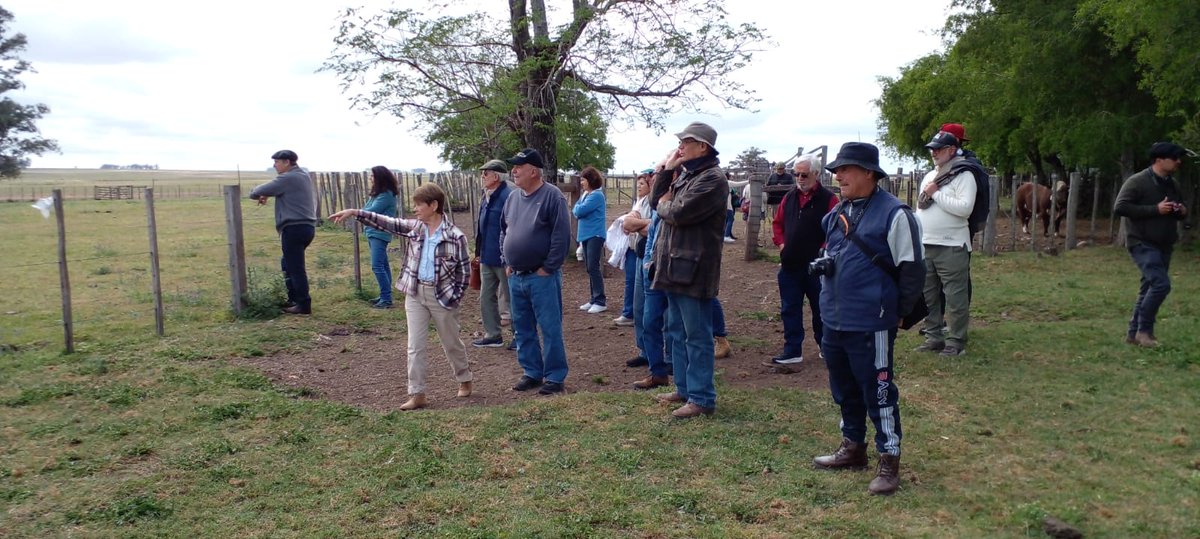 #Hoy en📍Paysandú
Vista a Establecimiento "El Ancla", con grupo "Ganaderos del Palmar" de Rocha
Ings. Agrs. Rómulo Cesar #Paysandú y Nicolás Scarpitta #Rocha 
#Ganadería #Campo #Actualización #PlanAgropecuario
