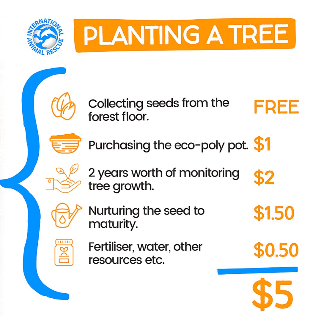 IAR_updates's tweet photo. Within the next hour, your contribution on Giving Day for Apes could help us win an additional $500 in the form of a GOLDEN TICKET. Planting trees is one of the most effective and simplest ways to build a future for orangutans! –
https://t.co/o2WXV6ylx2
#GivingDayForApes #GD4A https://t.co/lnPWbnkgul