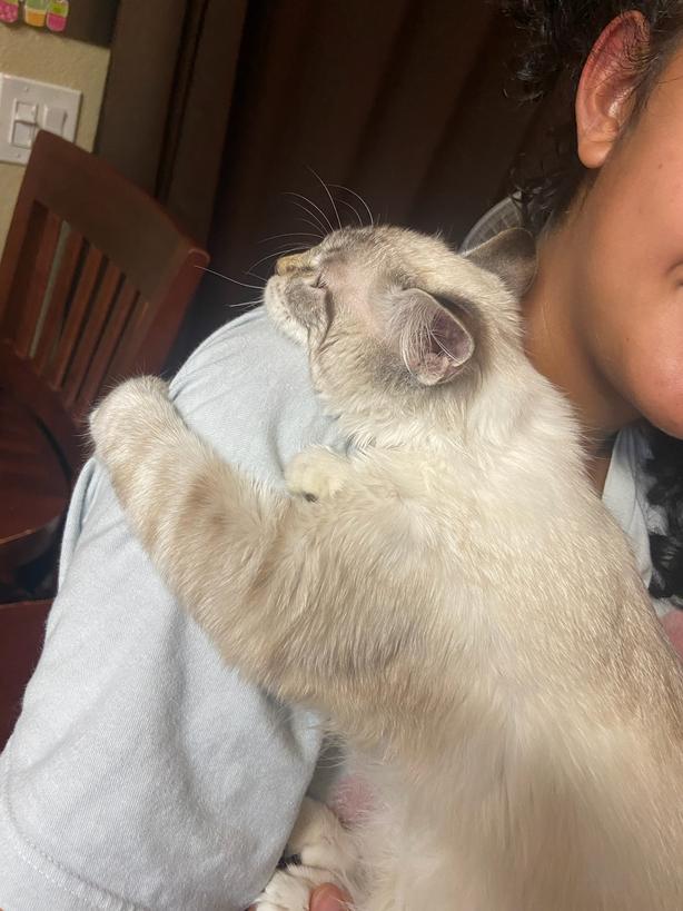 Gail Nott tweet media