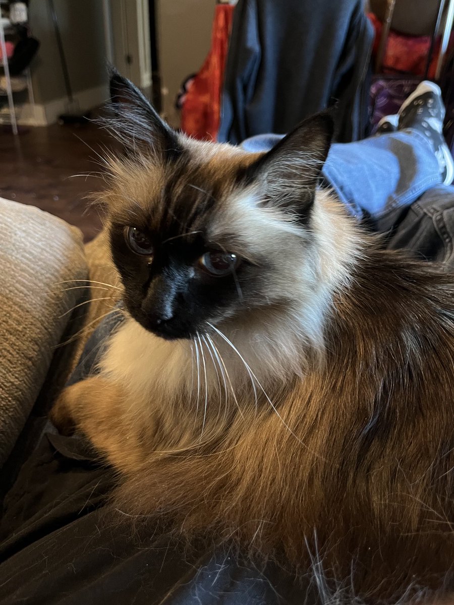 David Fleming tweet media