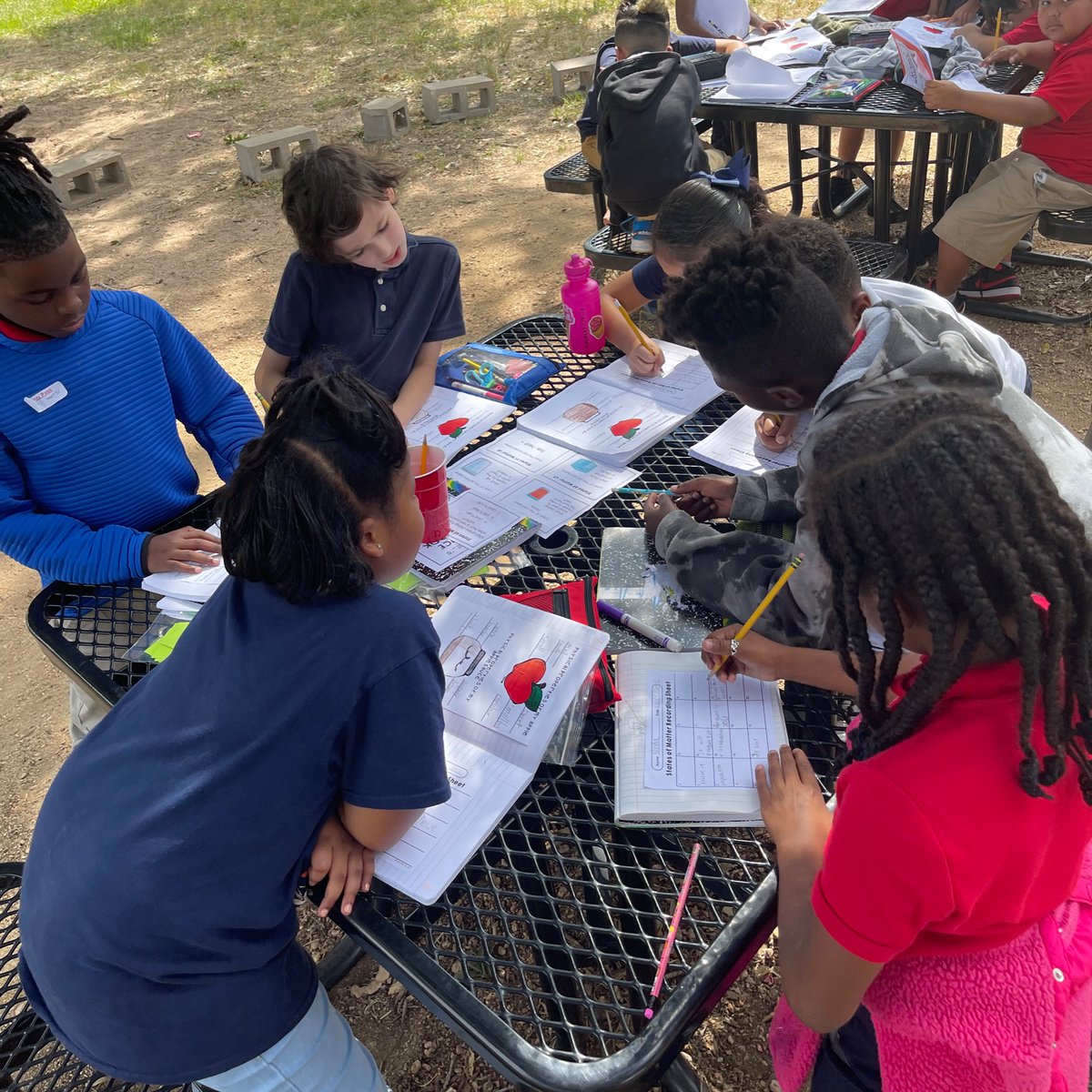 GallowCintel's tweet image. It’s a beautiful for learning outside. 🫶🏽#statesofmatter #criticalthinking #taskcards