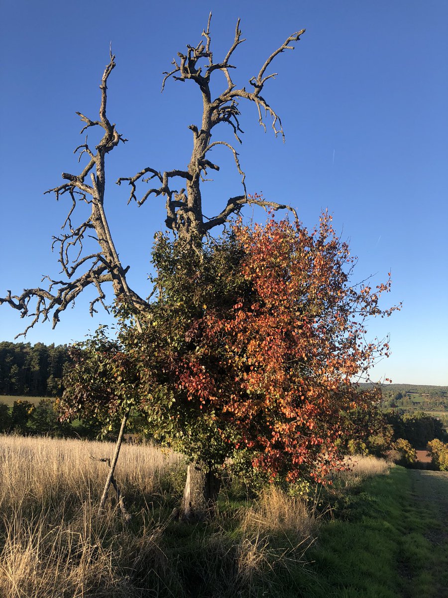 ulli was here … 🍃🍂🍁