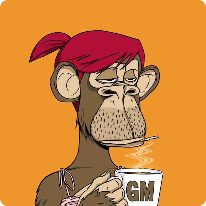 0xfived5's tweet photo. @GordonGoner Gm 🫡 https://t.co/iFVKGVBZh2