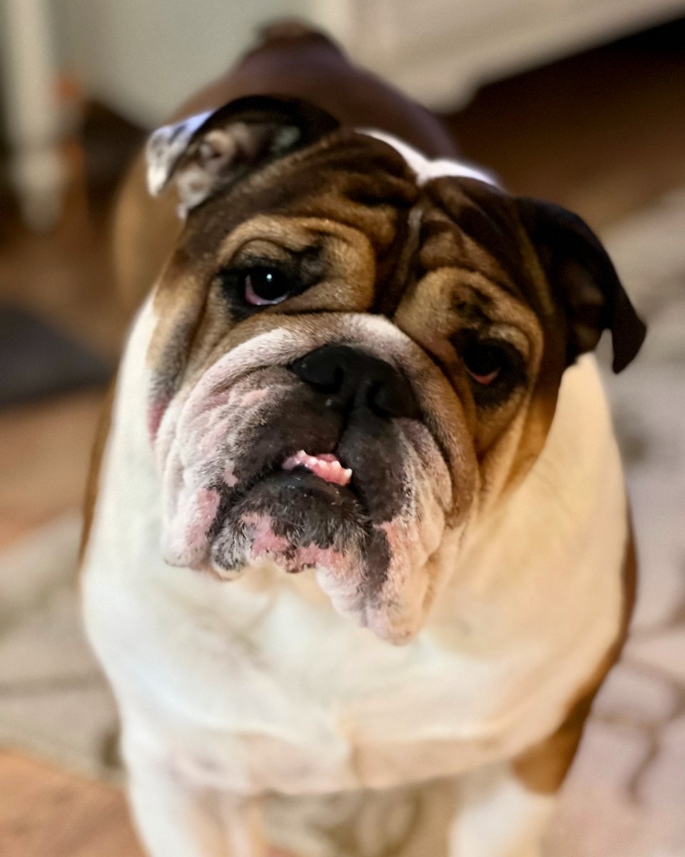 ThompsonTeam Photography tweet media