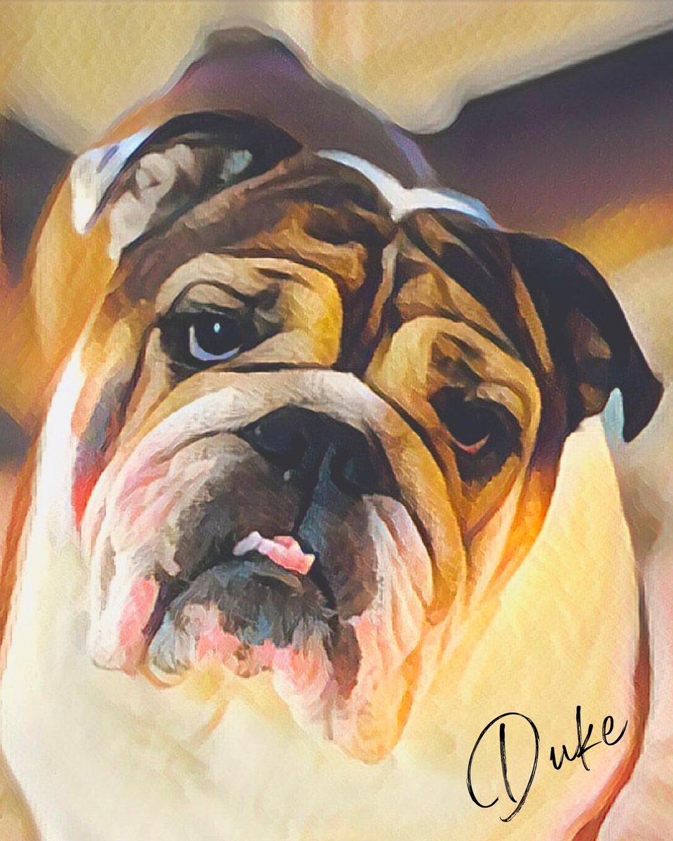 ThompsonTeam Photography tweet media